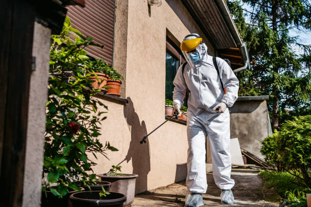 Best Pest Removal Services  in Big Pine, CA