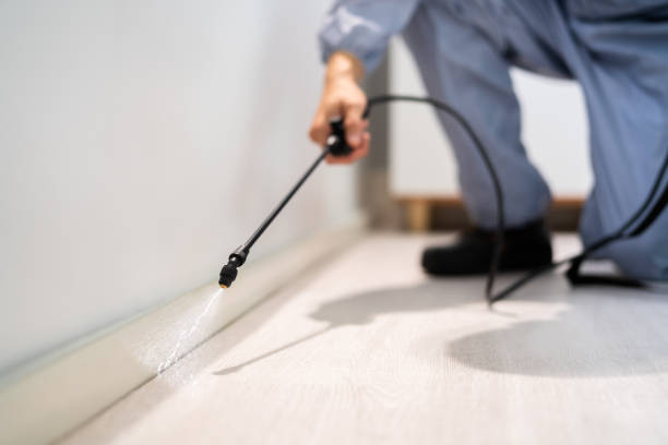Best Pest Prevention Services  in Big Pine, CA