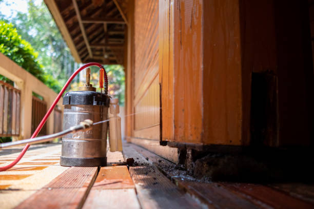 Best Pest Control Near Me in Big Pine, CA